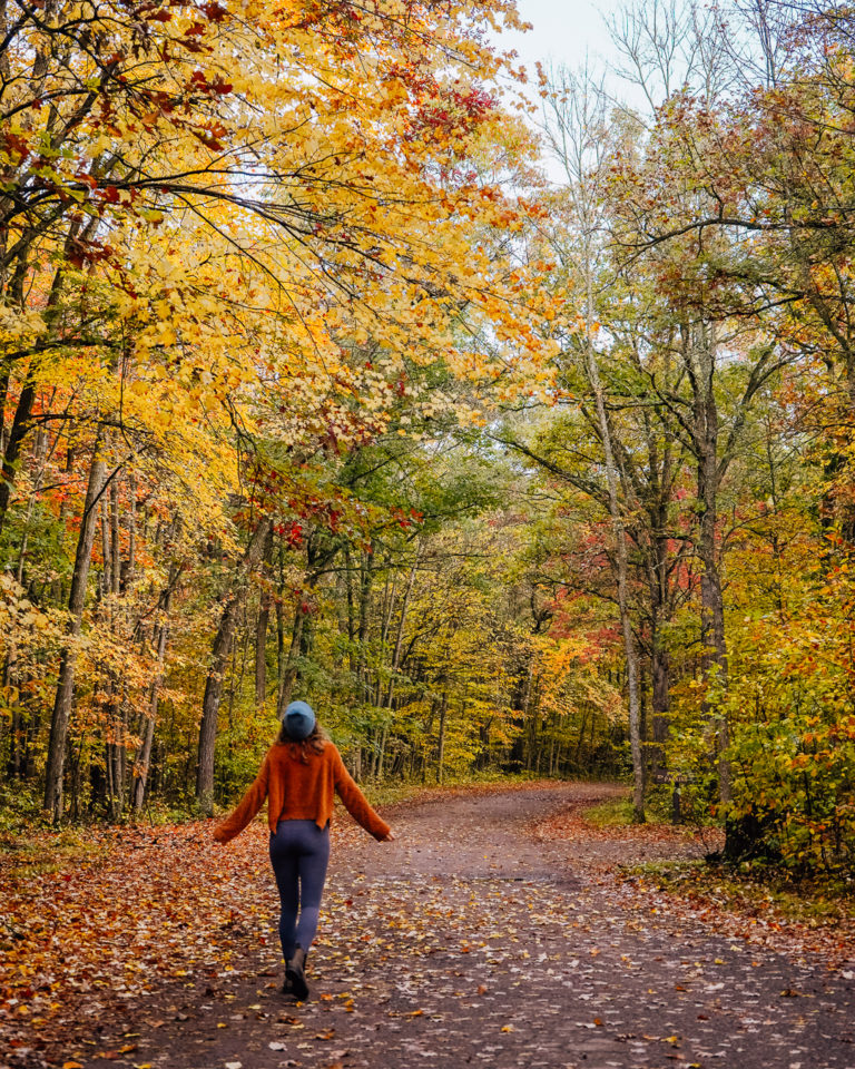 Chasing Fall Colors in Minnesota - Cate's Compass