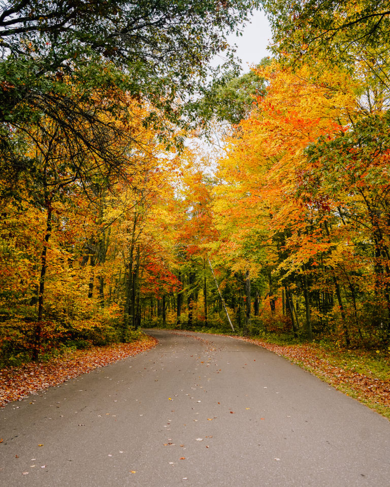 Chasing Fall Colors in Minnesota