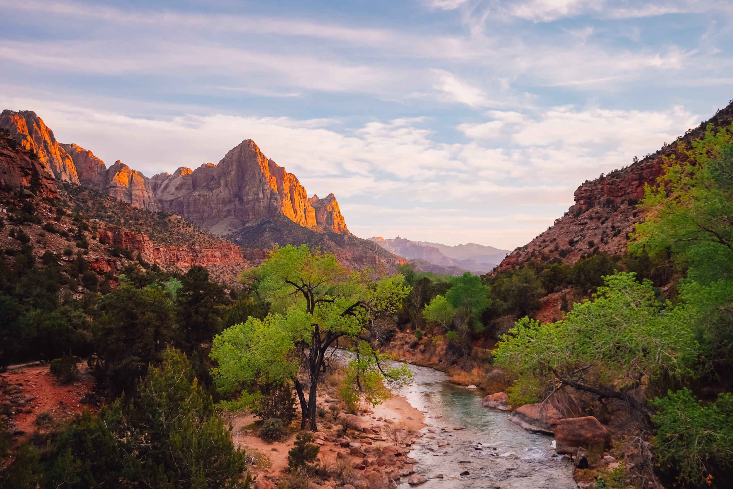 How to Plan a Trip to Zion National Park