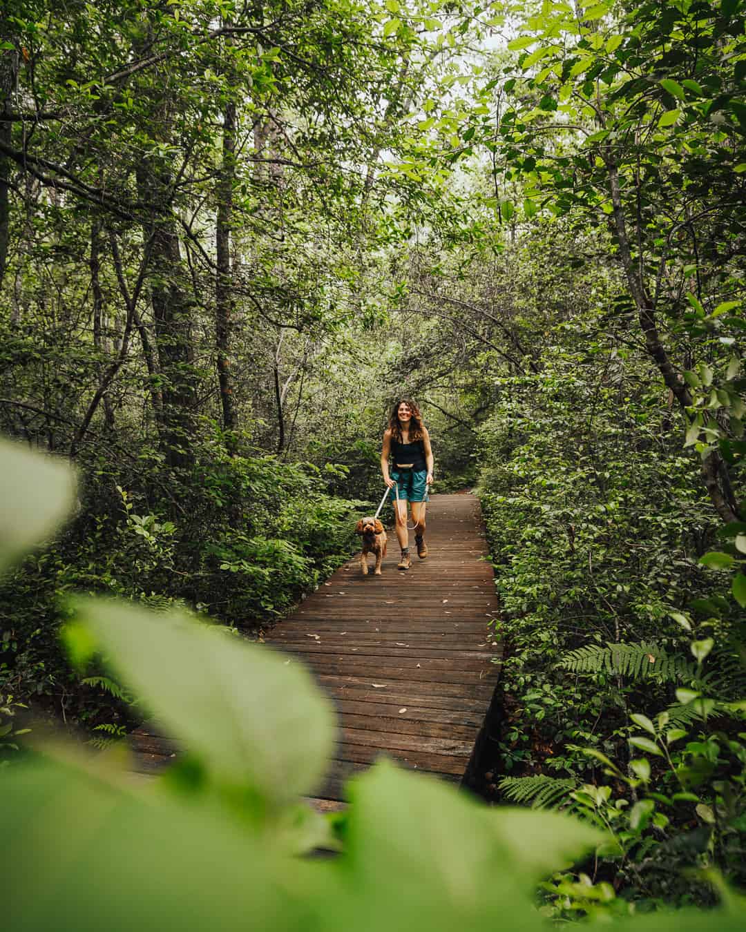 Weymouth Woods Trail