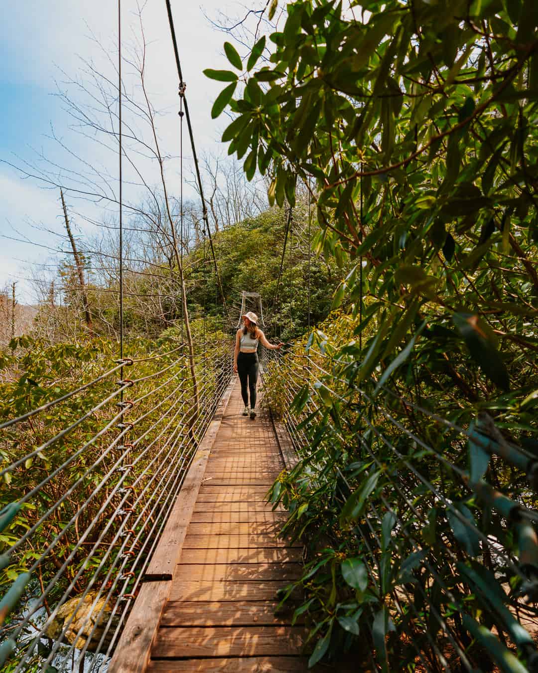 Raven Cliff Falls Suspension Bridge