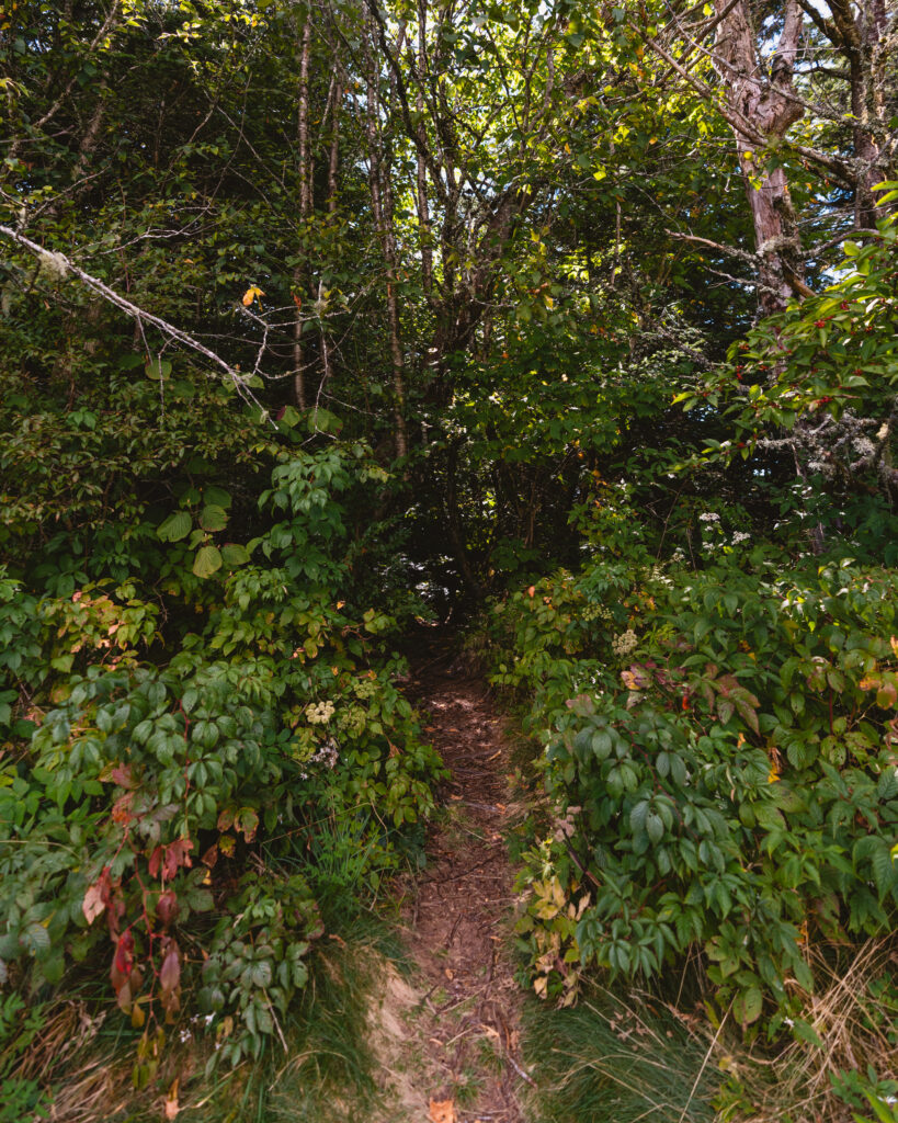 Entrance to trail off the parkway