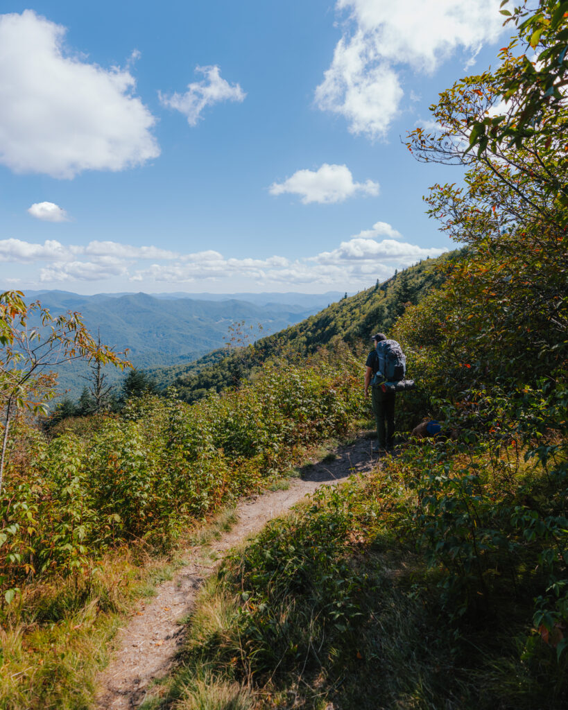 Viewpoint near Yellow Face