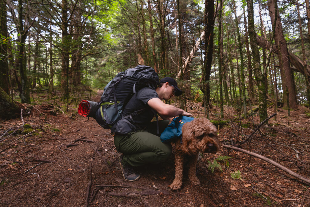 Pinnacle Trail