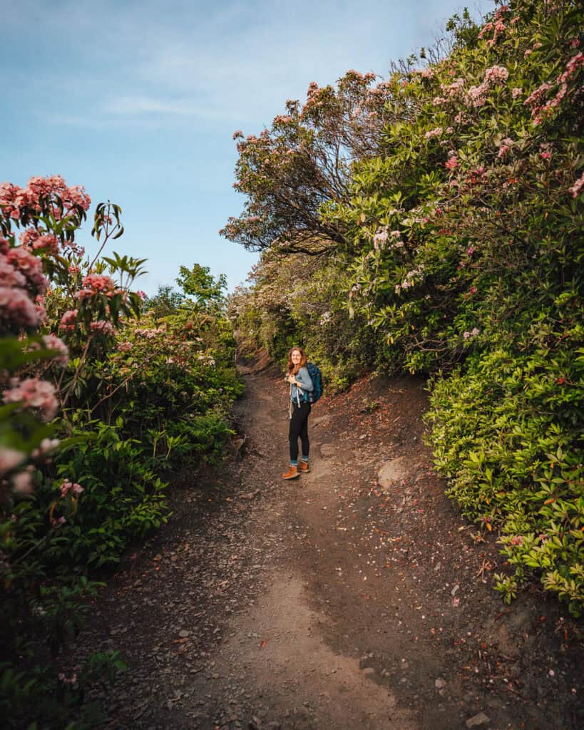 Alum Cave Trail