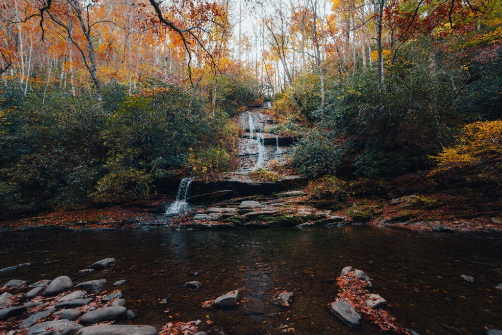 Tom Branch Falls