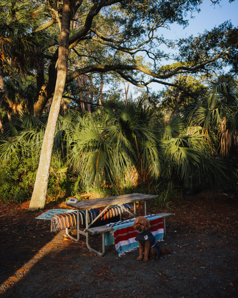 Campsite at Hunting Island State Park Campground