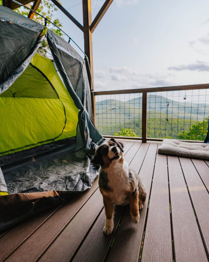 Glamping in NC