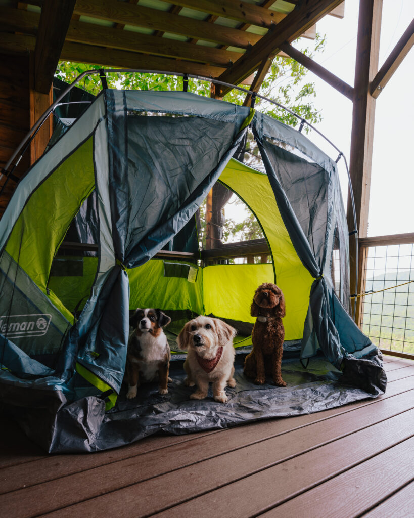Glamping in North Carolina