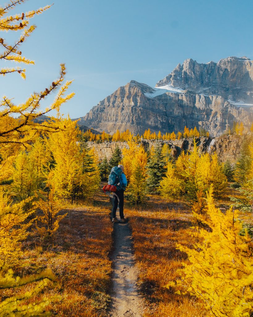 Fall Outfit for Hiking
