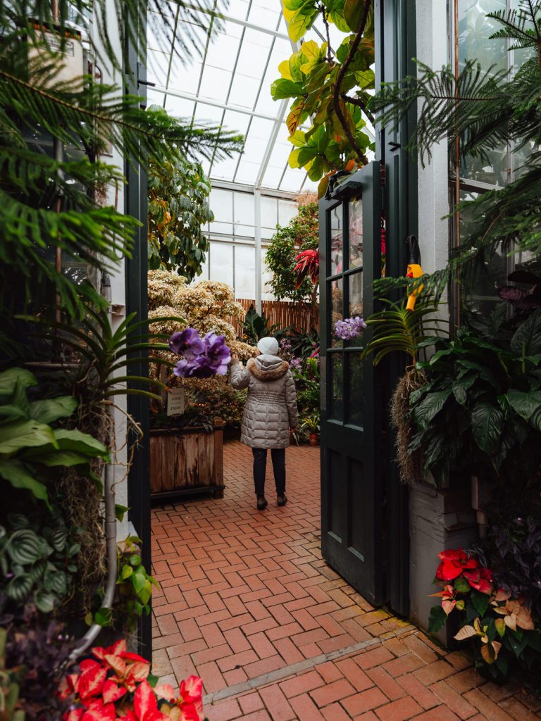 Biltmore Estate Conservatory
