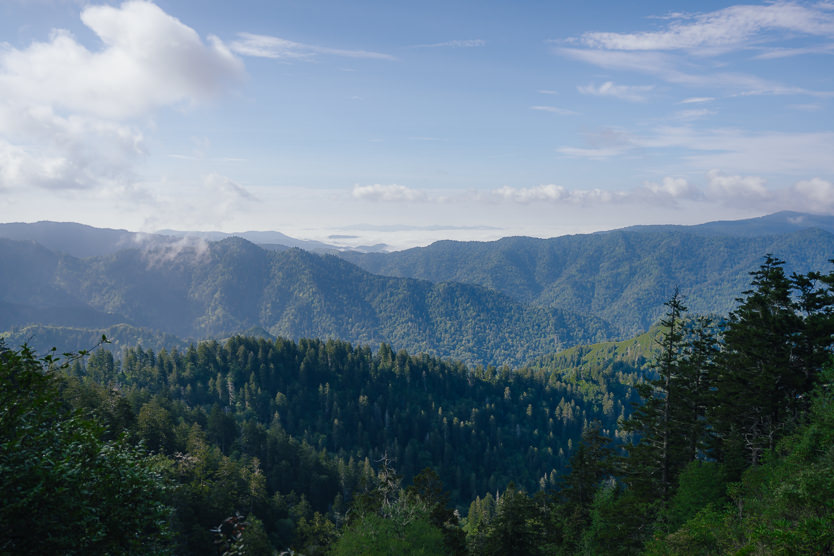 View from Alum Cave Trail