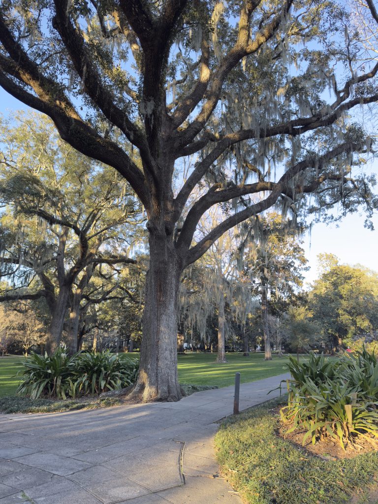 Forsyth Park