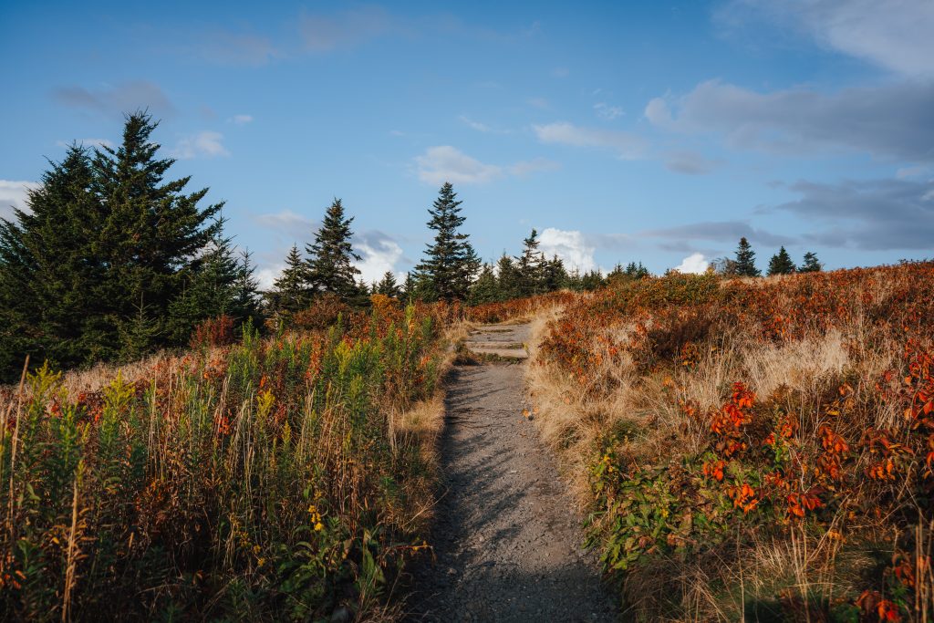 hiking trail near asheville nc