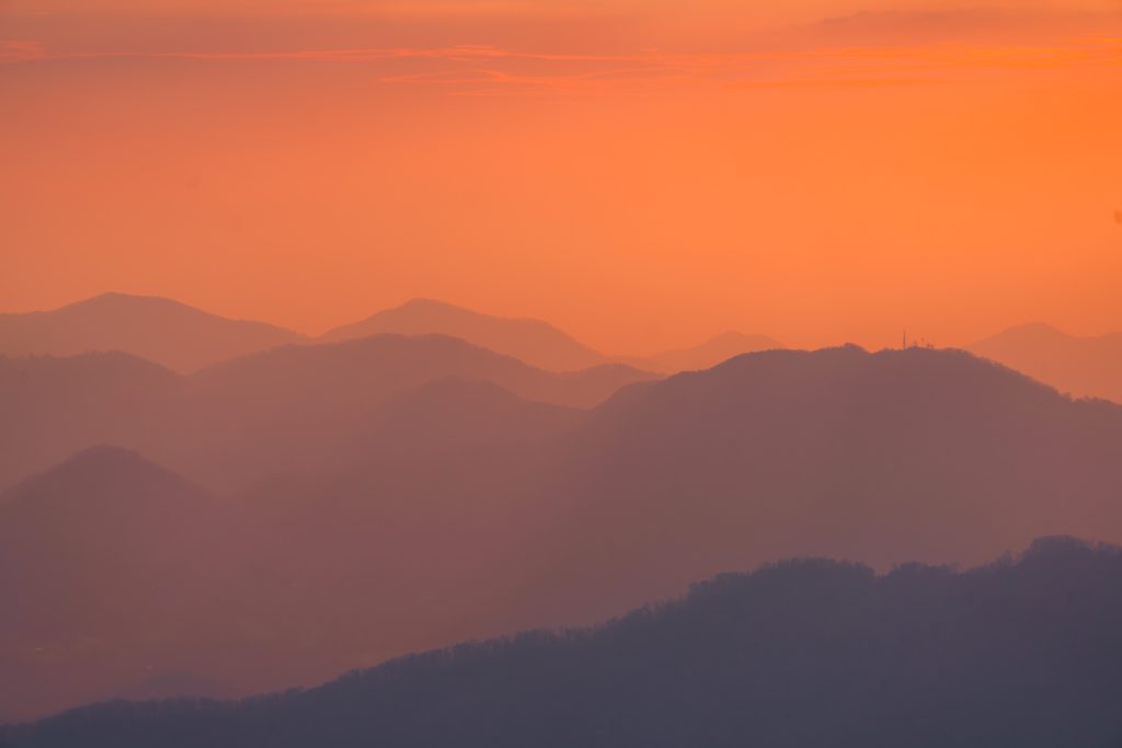 Hemphill Bald
