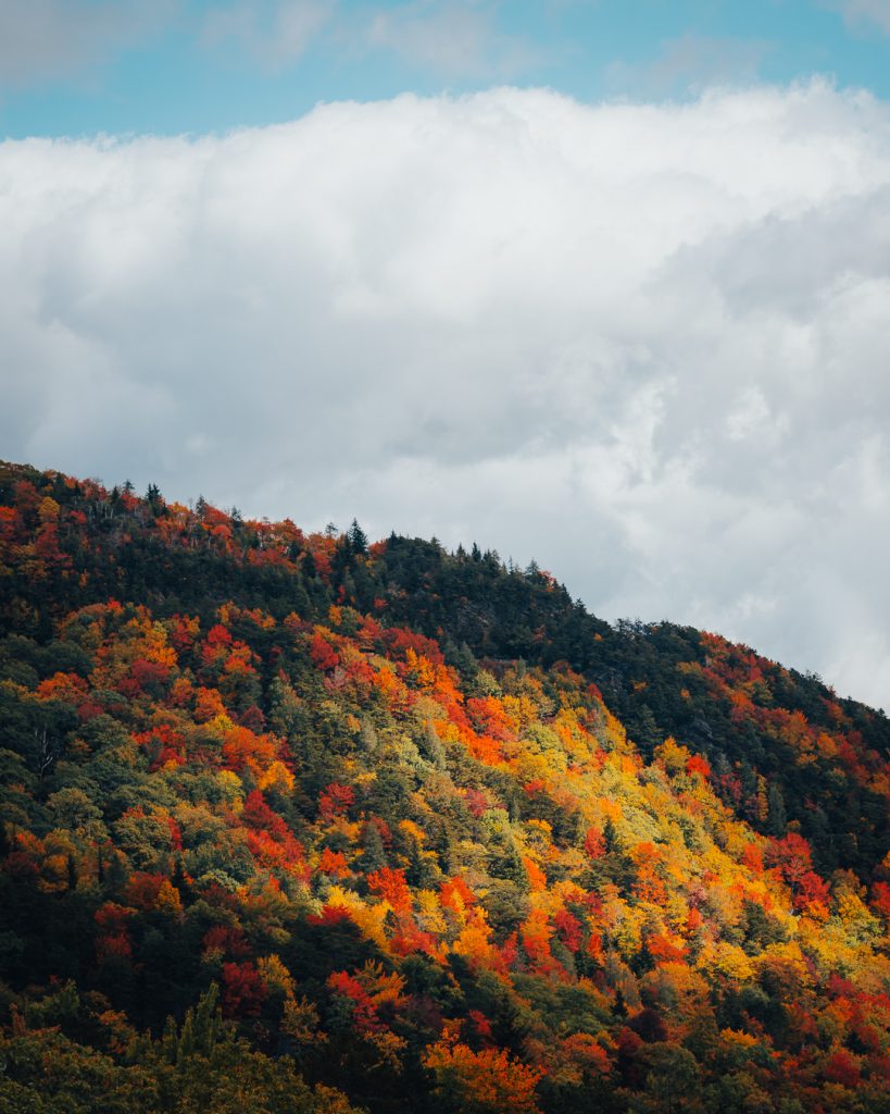 Fall Colors North Carolina