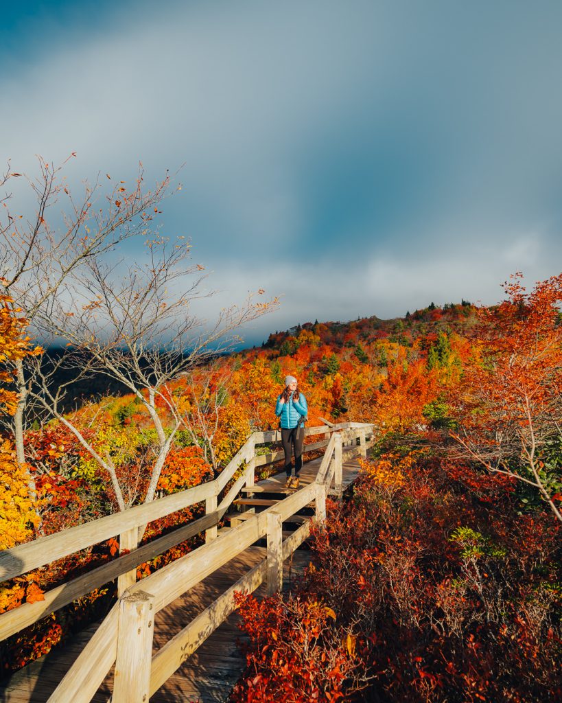 Rough Ridge