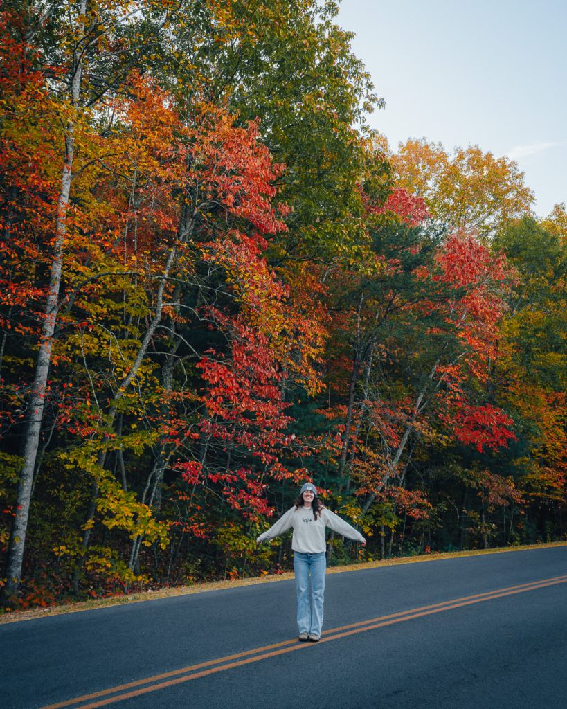 Blue Ridge Parkway Fall Photo Asheville