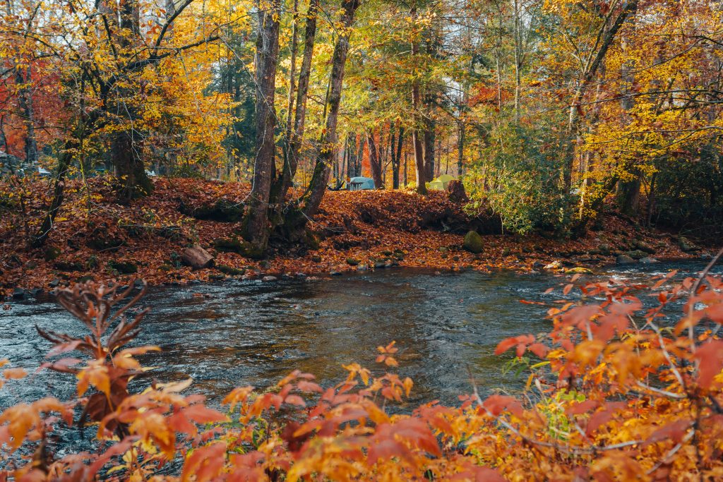 Bryson City Fall