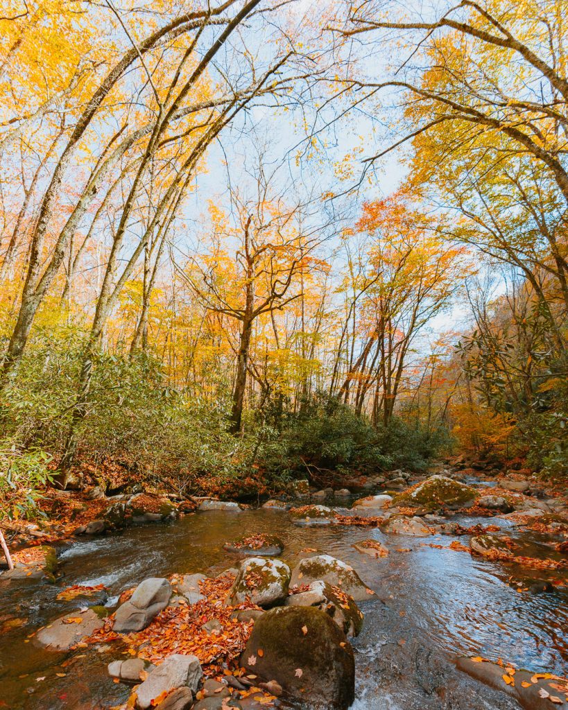 Fall in the Smokies