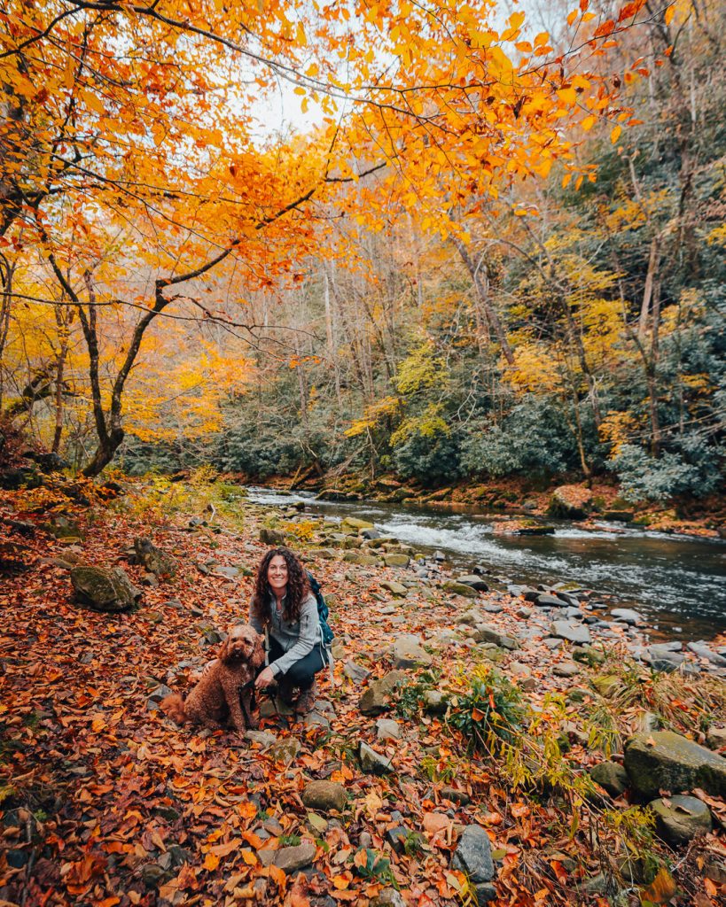 Bryson City in the fall