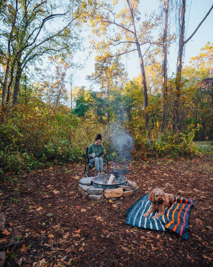 Fall in NC