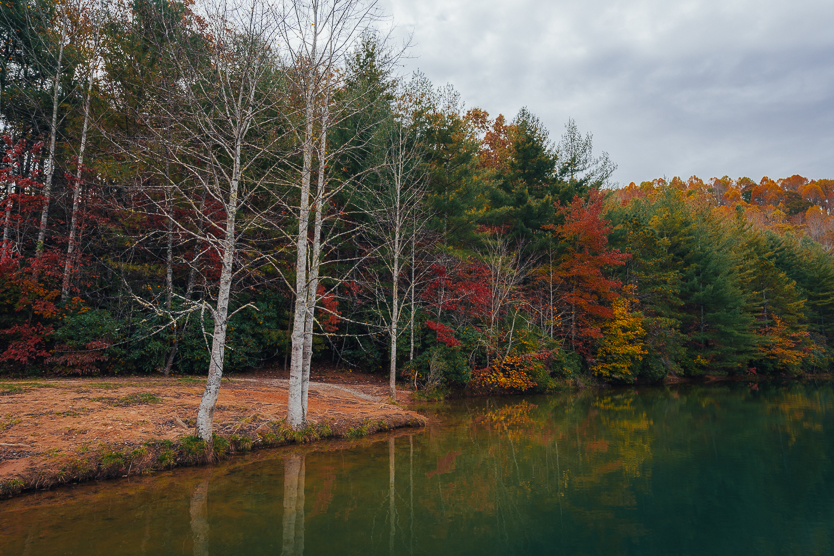 Fawn Lake Fall at Dupont State Forest