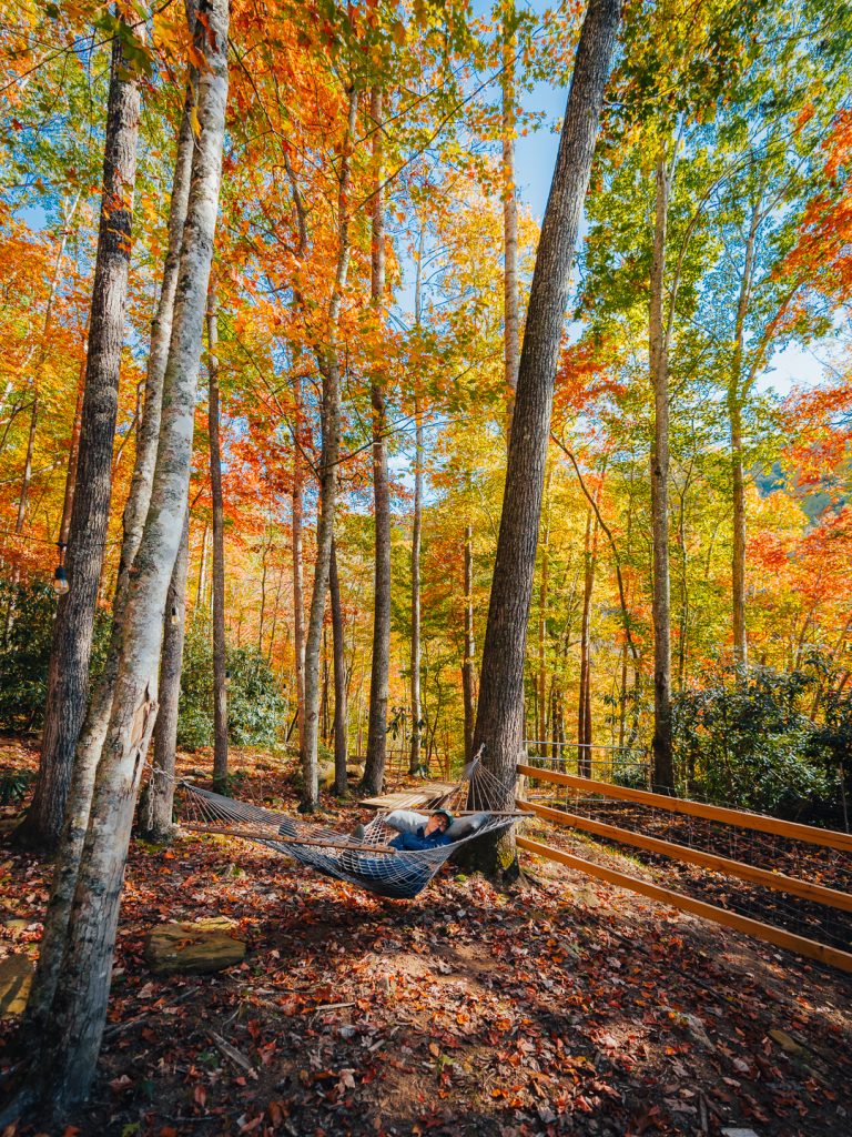 North Carolina Fall