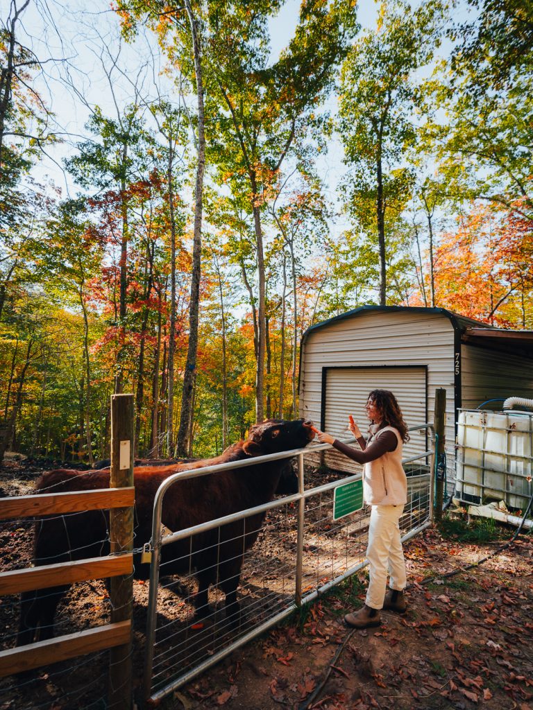 Fall in Waynesville Nc at Flowertown Charm