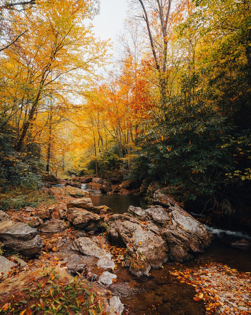 Fall Colors in North Carolina