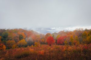 Max Patch Fall