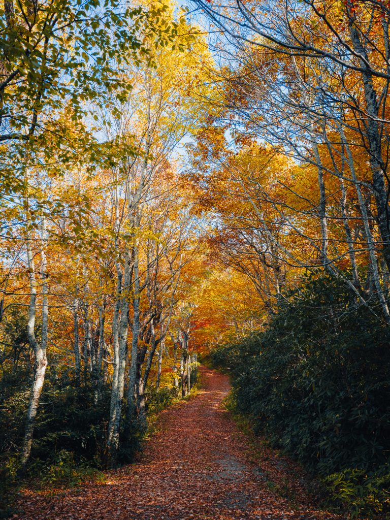 Fall hiking in Western North Carolina