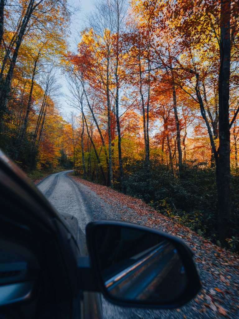 Fall driving in North Carolina