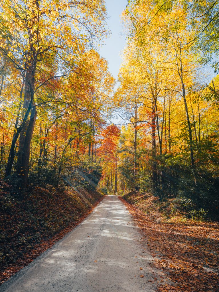 Fall Drives in the Blue Ridge Mountains