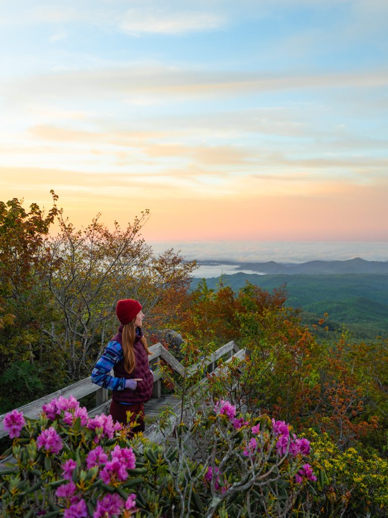 Rough Ridge