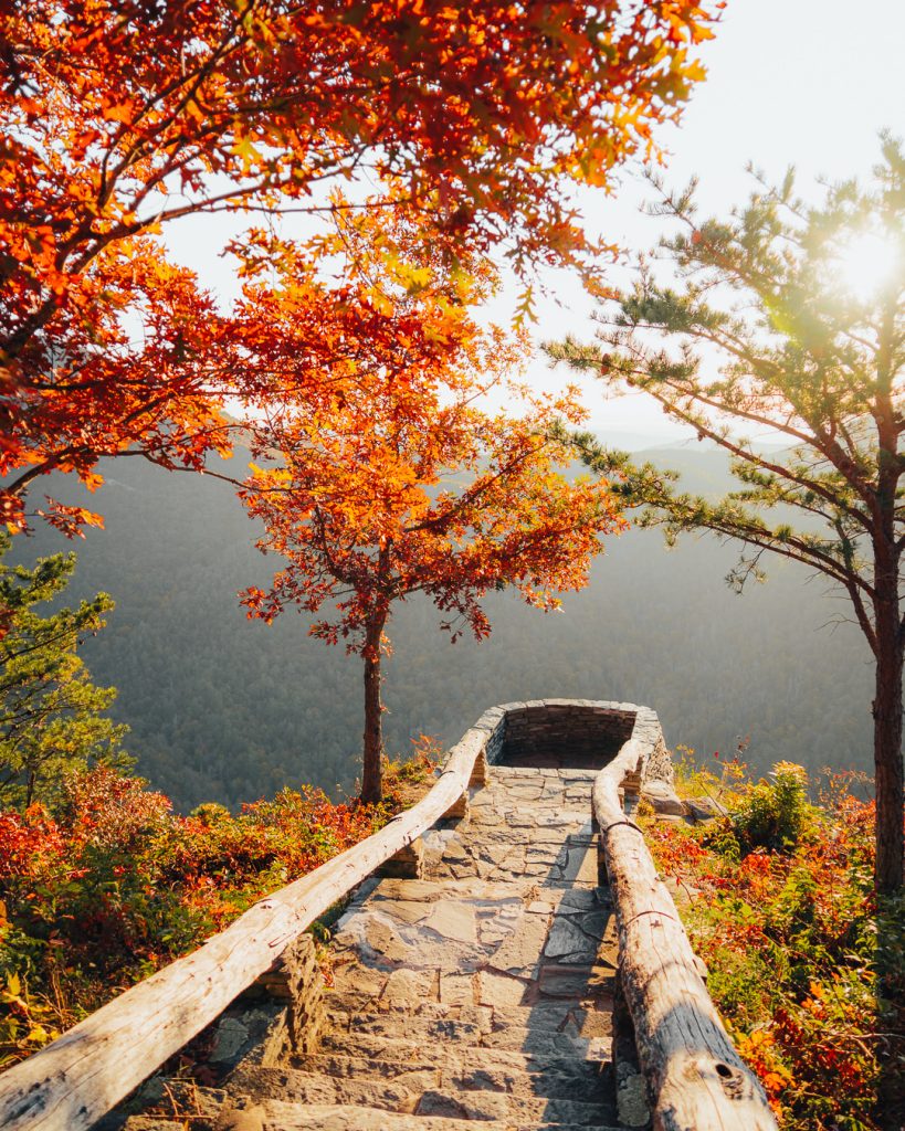 Wiseman's Viewpoint